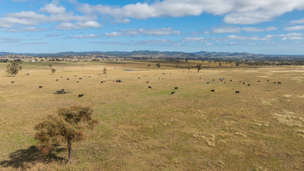 'Jacksons Block' Bendemeer Road Uralla NSW 2358 - Image 2