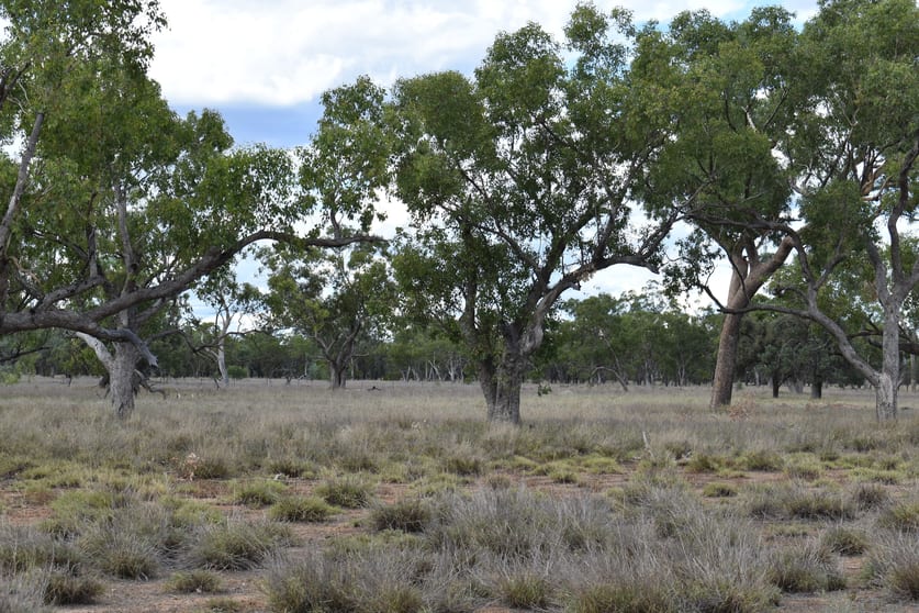 " Northam" Wyandra QLD 4489 - Image 3