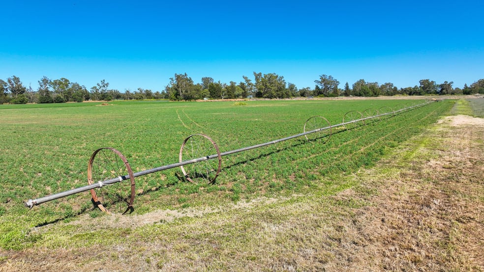 73-95 King George V Ave Tamworth NSW 2340 - Image 3
