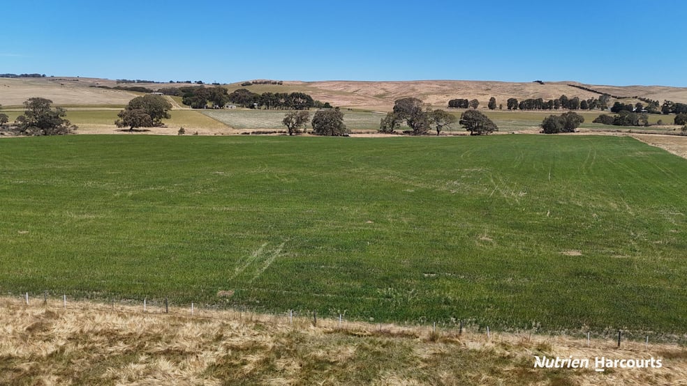 3857 Glenelg Highway Coleraine VIC 3315 - Image 2