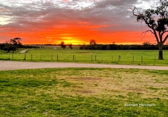 1770 Beermullah Road West Gingin WA 6503 - Image 2