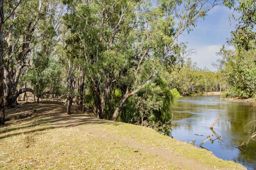 Click to view all images 1152 Central Island Road Galore NSW 2650 - Image 2
