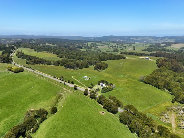 125 Beech Forest - Lavers Hill Road Beech Forest VIC 3237 - Image 2