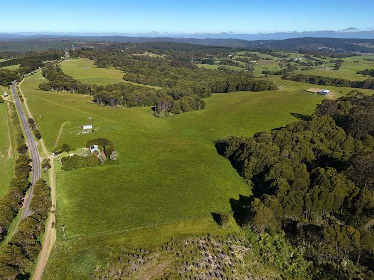125 Beech Forest - Lavers Hill Road Beech Forest VIC 3237 - Image 3