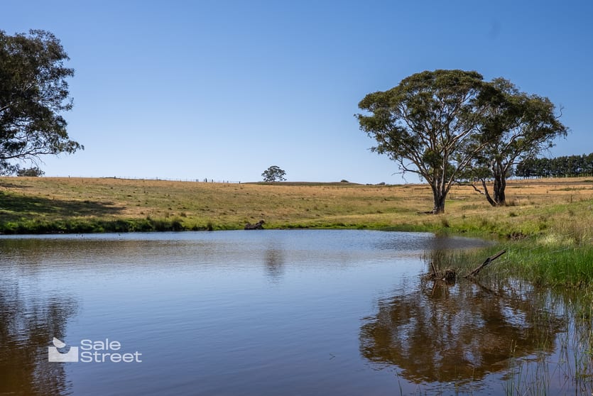90 Convent Lane Borenore NSW 2800 - Image 1