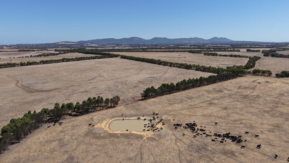 4842 Chester Pass Road Takalarup WA 6324 - Image 3