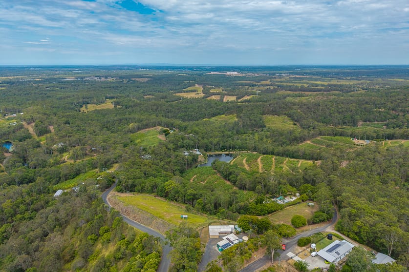 349 Jackson Road Wamuran QLD 4512 - Image 3