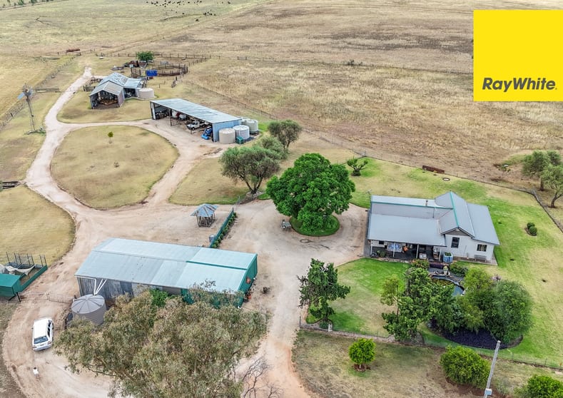 'Millfield'/122 Carl Tomes Lane Inverell NSW 2360 - Image 1