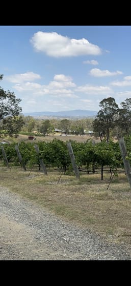 Click to view all images *** Talga Road Lovedale NSW 2325 - Image 1