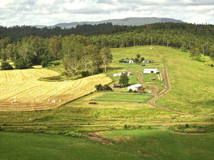 1023 Iron Pot Creek Rd Kyogle NSW 2474 - Image 3