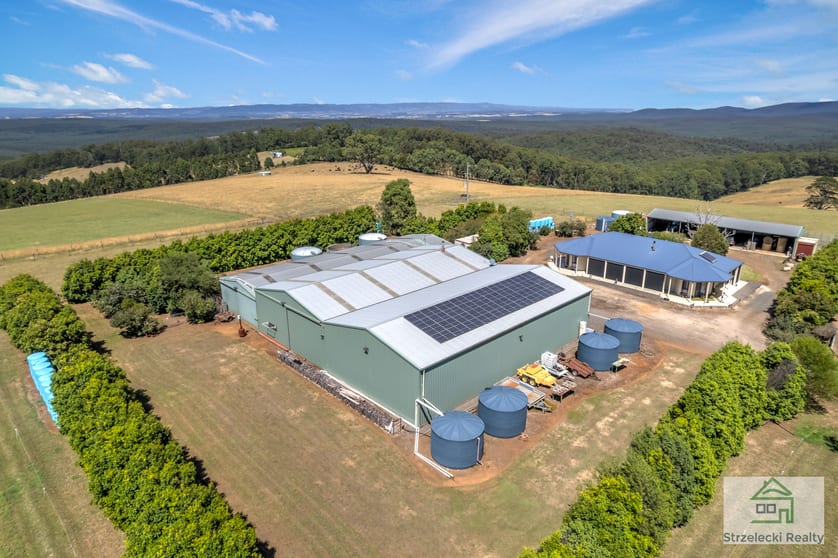74 Moondarra Road Moondarra VIC 3825 - Image 3