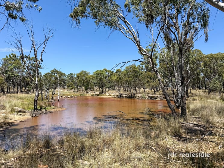 107 Long Gully Road, Tingha Inverell NSW 2360 - Image 2