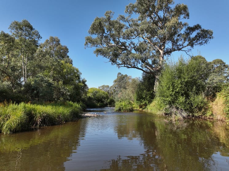 210 Walshs Road Goughs Bay VIC 3723 - Image 2