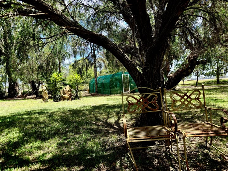 506 North Forbes Rd Condobolin NSW 2877 - Image 2