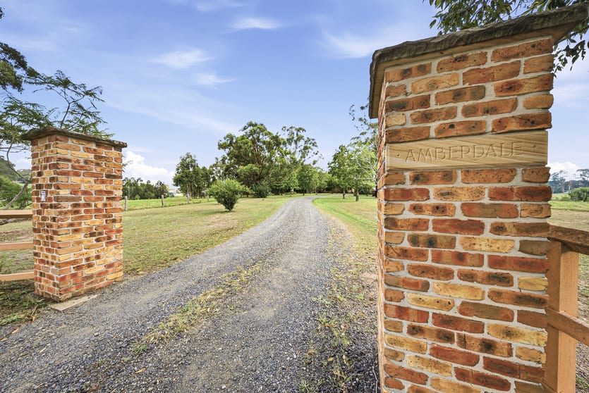 49 Lang Drive Bolwarra Heights NSW 2320 - Image 3