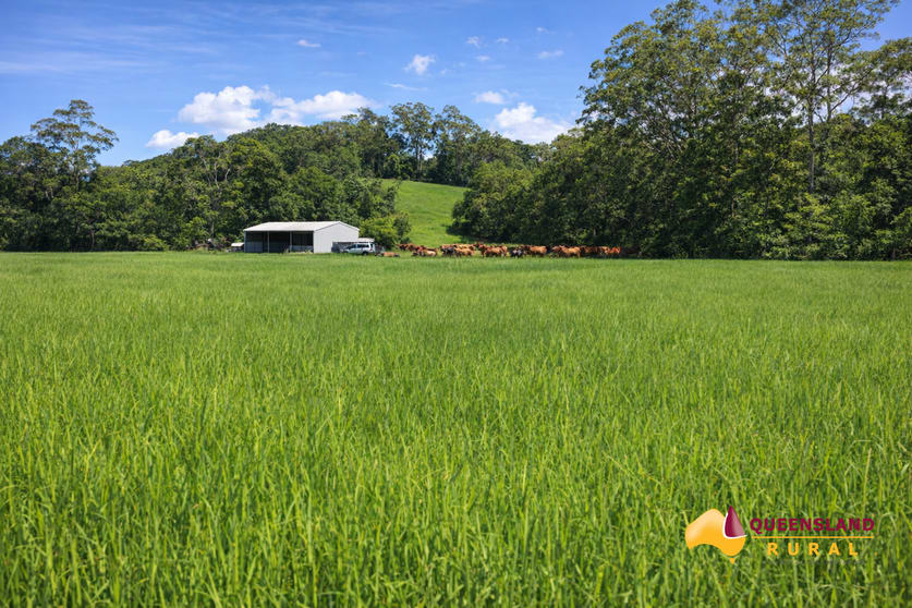 Click to view all images Bombeeta QLD 4871 - Image 3