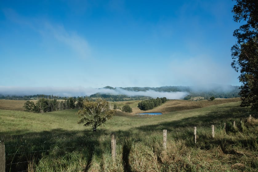 Click to view all images Lynches Creek Road Wiangaree NSW 2474 - Image 1