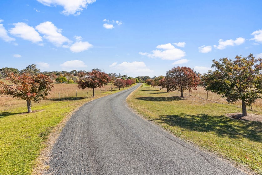 Click to view all images 59 McLartys Road The Gap NSW 2650 - Image 2