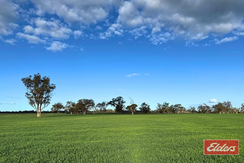 490 Neal Road Undera VIC 3629 - Image 3