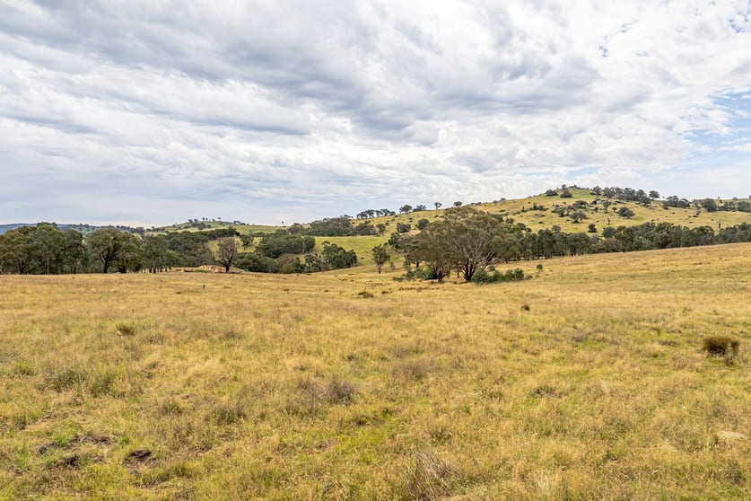 Click to view all images 669 Greenmantle Road Bigga NSW 2583 - Image 2