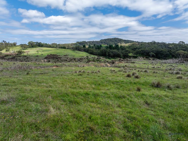 1130 Majors Creek Road Braidwood NSW 2622 - Image 1