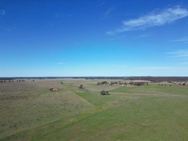 603 Charcoal Tank Road West Wyalong NSW 2671 - Image 3