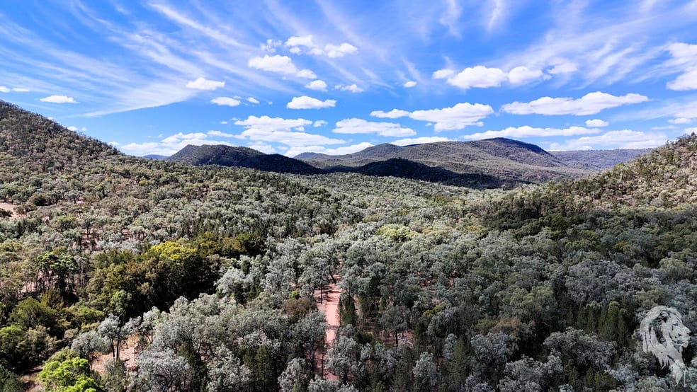 312 Spion Kop Road Maules Creek NSW 2382 - Image 1
