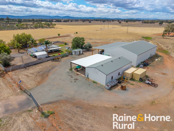 502 Whitton Park Road Peak Hill NSW 2869 - Image 1