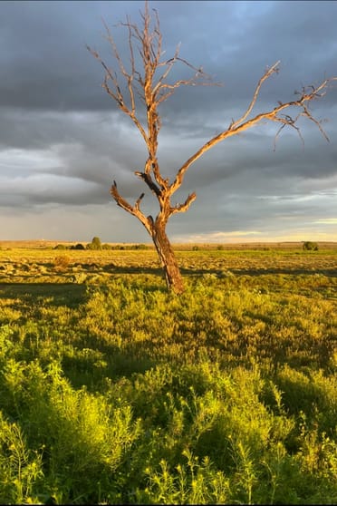 Click to view all images Lot 155 Hogback Lane Warnes SA 5417 - Image 2