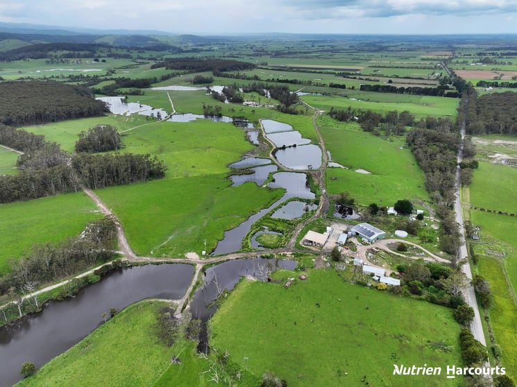 Click to view all images 656 Tap Tap Road STACEYS BRIDGE and Harraps Road, Binginwarri VIC 3966 - Image 1
