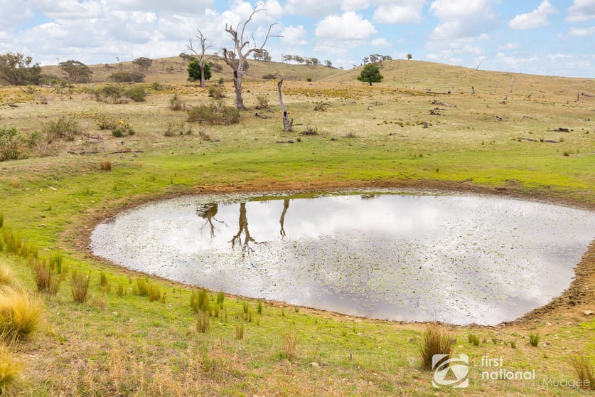 Click to view all images 763 Old Grattai Road Mudgee NSW 2850 - Image 2