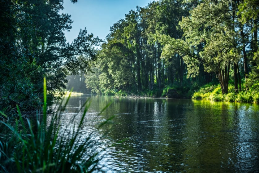 484 Summervilles Road Bellingen NSW 2454 - Image 3