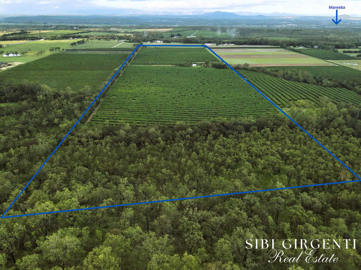 263/71 Gilmore Road Mareeba QLD 4880 - Image 3