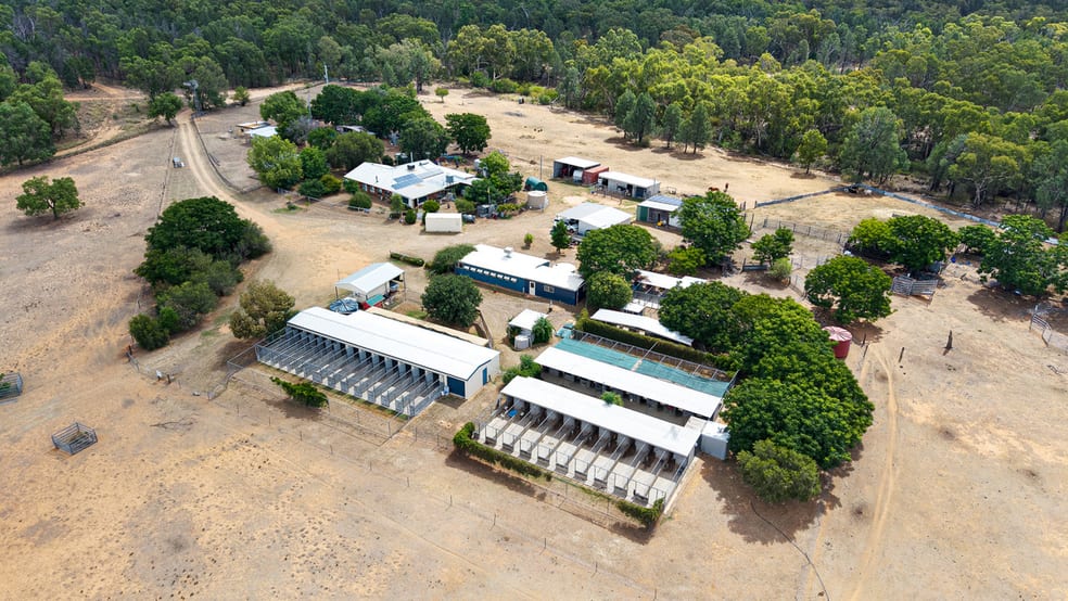Click to view all images 9834 Newell Highway Narrabri NSW 2390 - Image 3