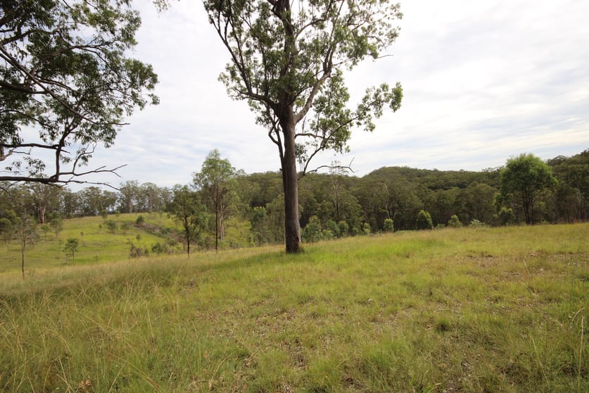 Click to view all images 702 Comboyne Road Byabarra NSW 2446 - Image 2
