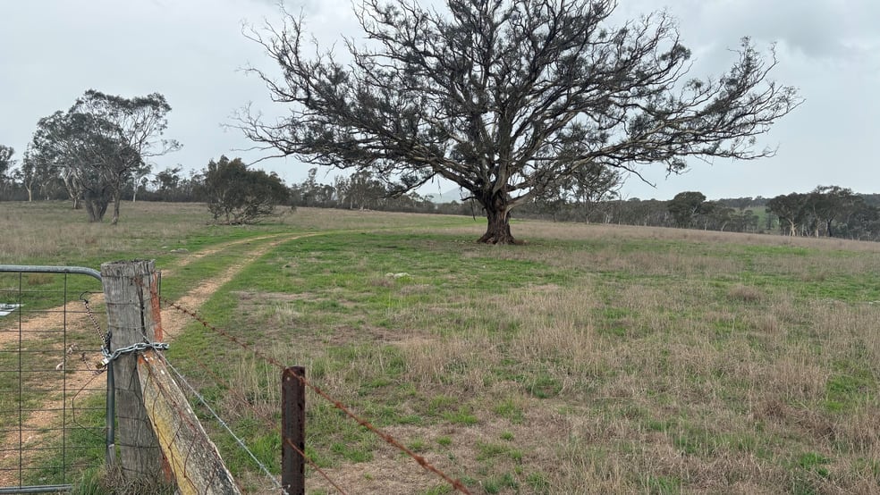 Click to view all images 111 Farringdon Road Braidwood NSW 2622 - Image 2