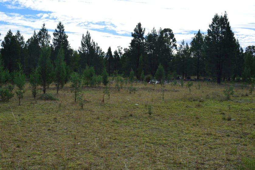 Click to view all images Lot 17 Tin Hut Road Inglewood QLD 4387 - Image 2