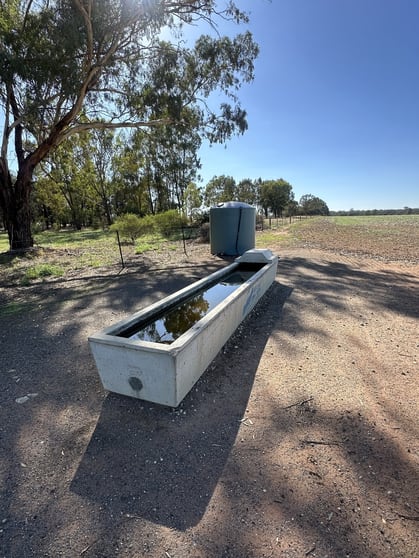Click to view all images . Lilydale Road Balldale NSW 2646 - Image 2