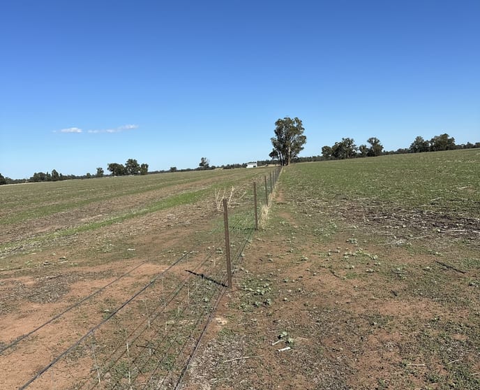 Click to view all images . Lilydale Road Balldale NSW 2646 - Image 3