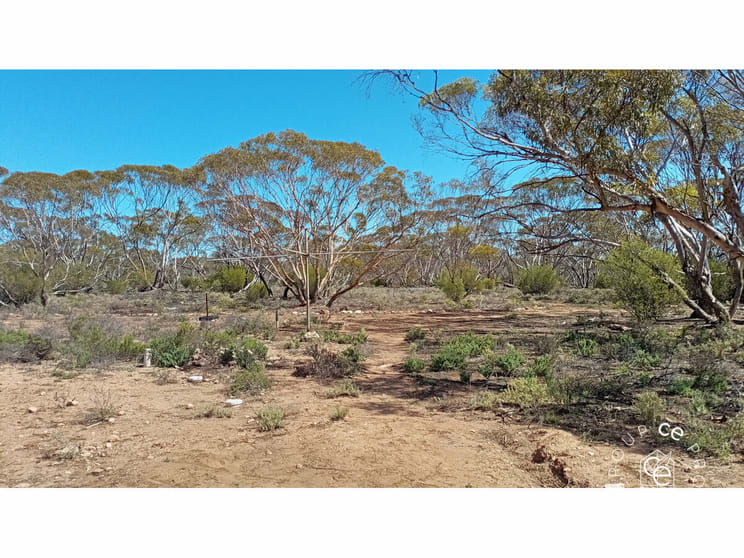 385 Pipeline Road Fisher SA 5354 - Image 2