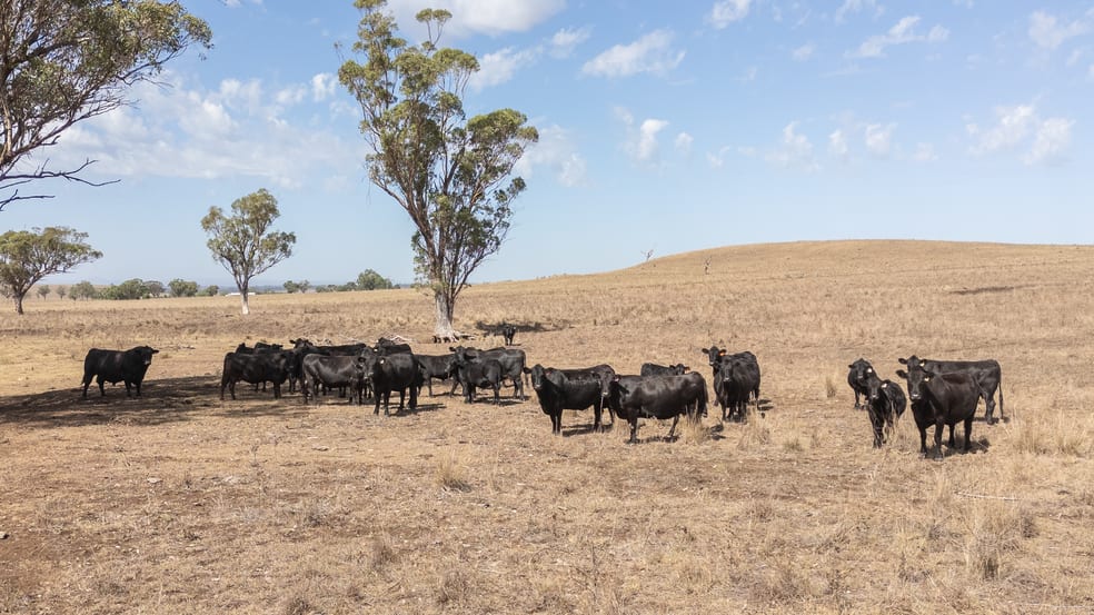 'Windermere' 5518 Golden Highway Merriwa NSW 2329 - Image 2