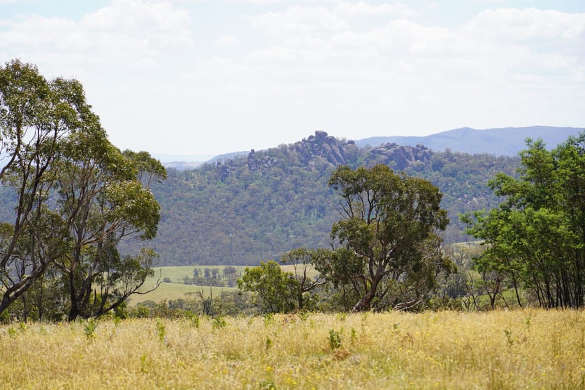 410 Honeysuckle Falls Road Tarana NSW 2787 - Image 2