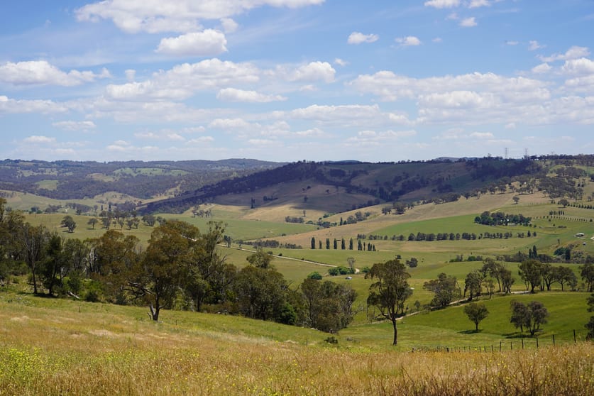 410 Honeysuckle Falls Road Tarana NSW 2787 - Image 3