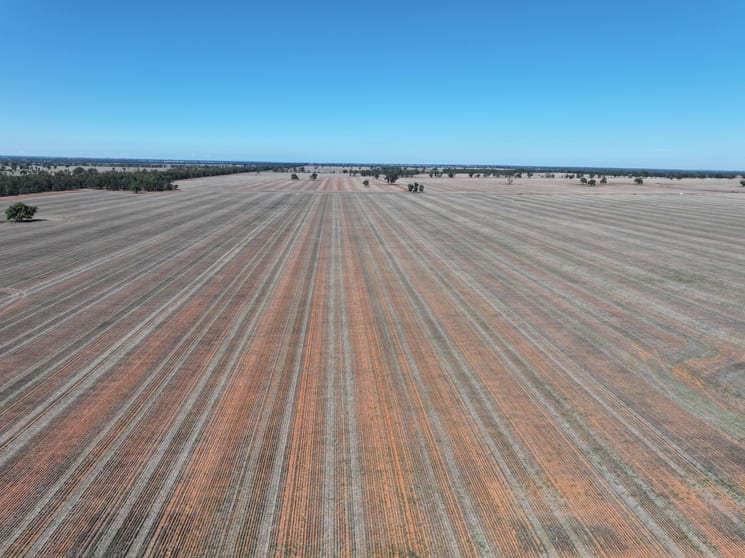 Shannonvale & Elmore Strontian Road Boree Creek NSW 2652 - Image 1