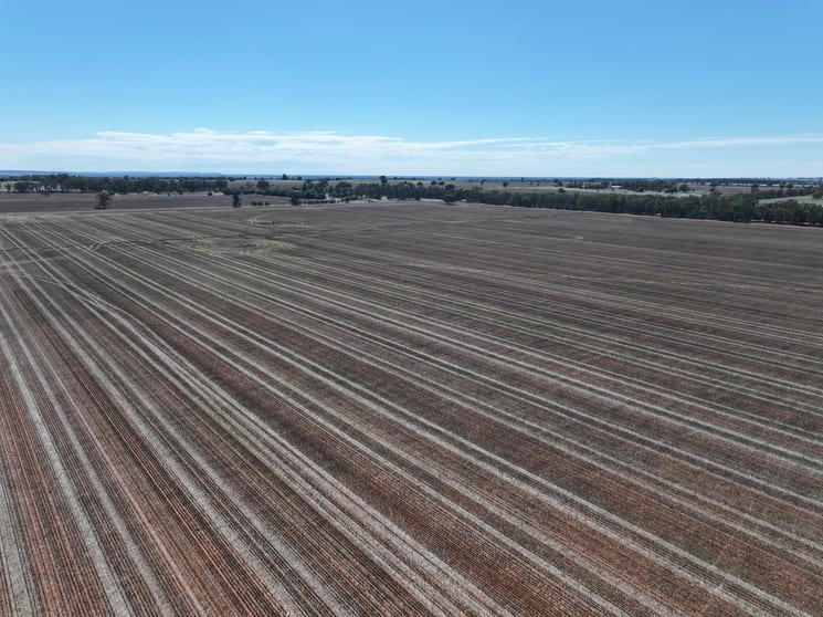 Shannonvale & Elmore Strontian Road Boree Creek NSW 2652 - Image 3