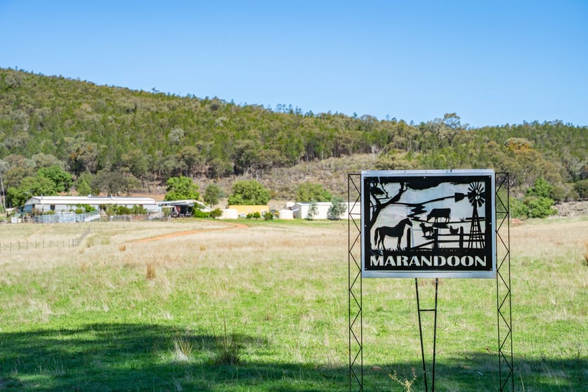 1235 Kangarooby Road Gooloogong NSW 2805 - Image 2