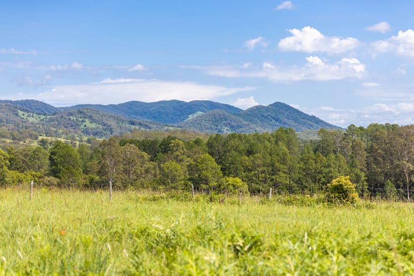 30 Wynters Road Burrell Creek NSW 2429 - Image 1