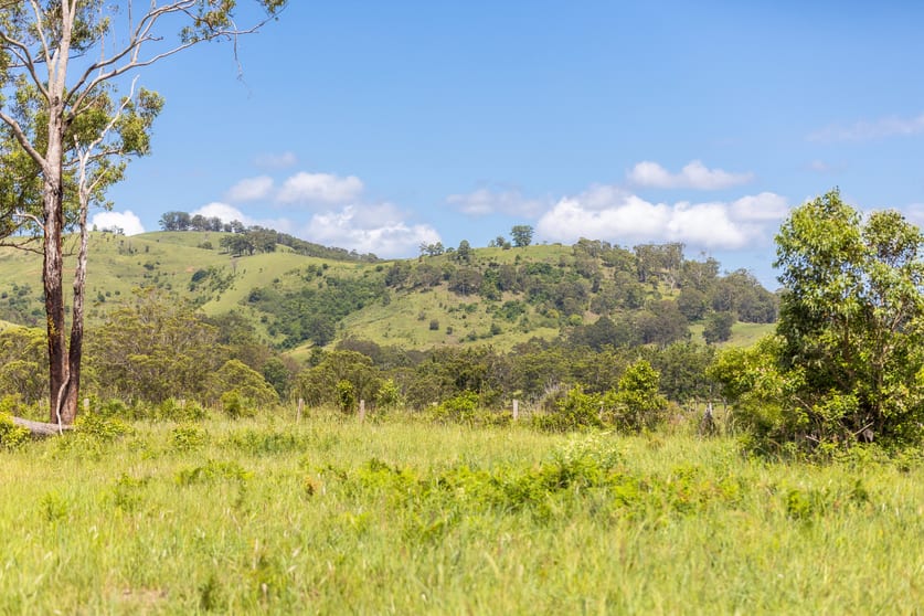 30 Wynters Road Burrell Creek NSW 2429 - Image 3