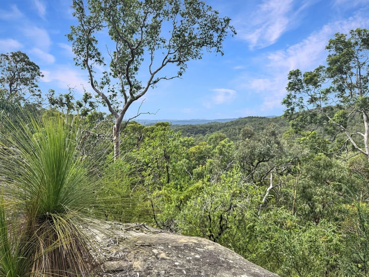 112 Finchley Track Laguna NSW 2325 - Image 1
