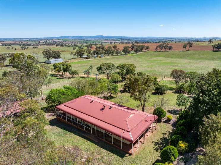 306 Moola Road Canowindra NSW 2804 - Image 1